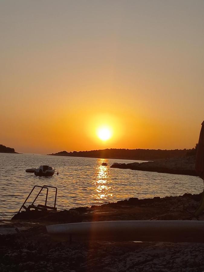 Apartments Milicevic روغوزنيكا المظهر الخارجي الصورة