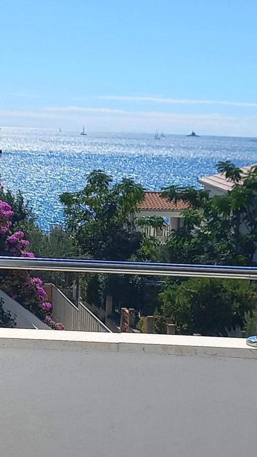 Apartments Milicevic روغوزنيكا المظهر الخارجي الصورة