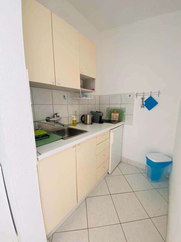 Apartments Milicevic روغوزنيكا المظهر الخارجي الصورة
