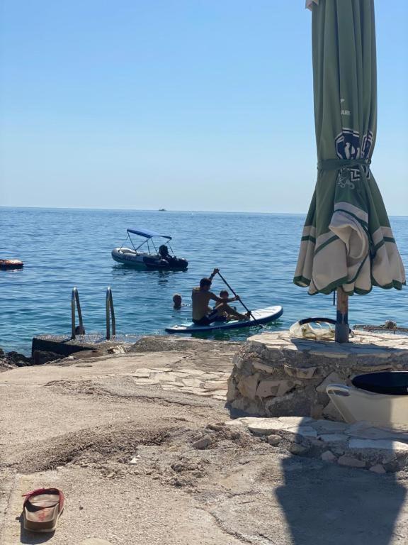 Apartments Milicevic روغوزنيكا المظهر الخارجي الصورة