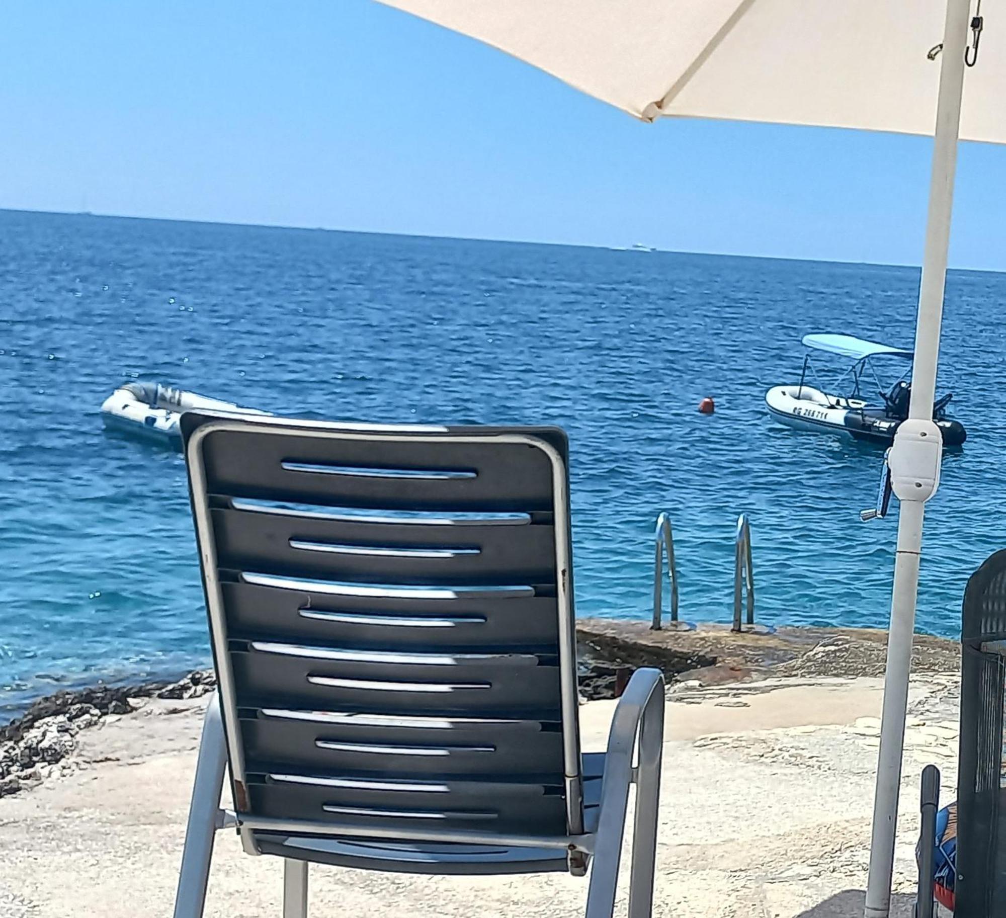 Apartments Milicevic روغوزنيكا المظهر الخارجي الصورة
